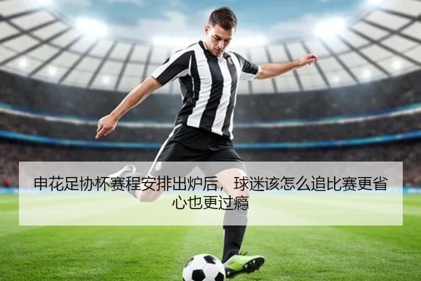 申花足协杯赛程安排出炉后，球迷该怎么追比赛更省心也更过瘾（sina.cn）